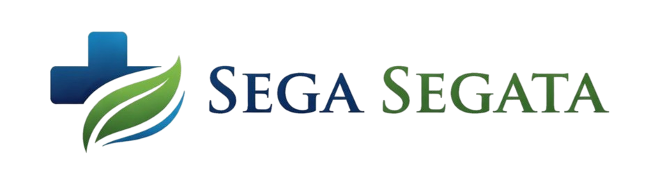 Sega Segata logo